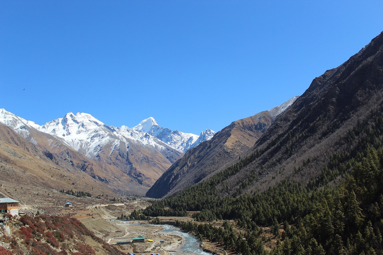 Chitkul village and the turquoise Baspa river below snow-capped Kinnaur peaks under a deep blue sky