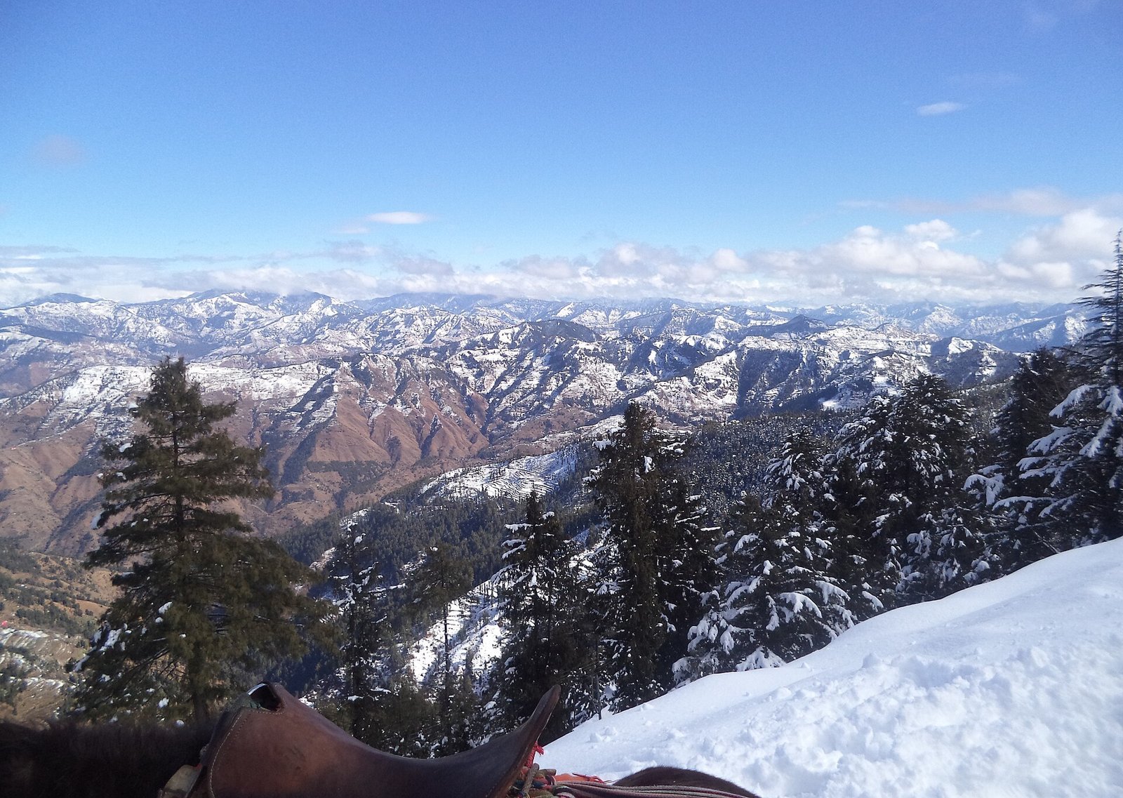 Snow-covered Great Himalayan National Park peaks seen across forested ridges in winter